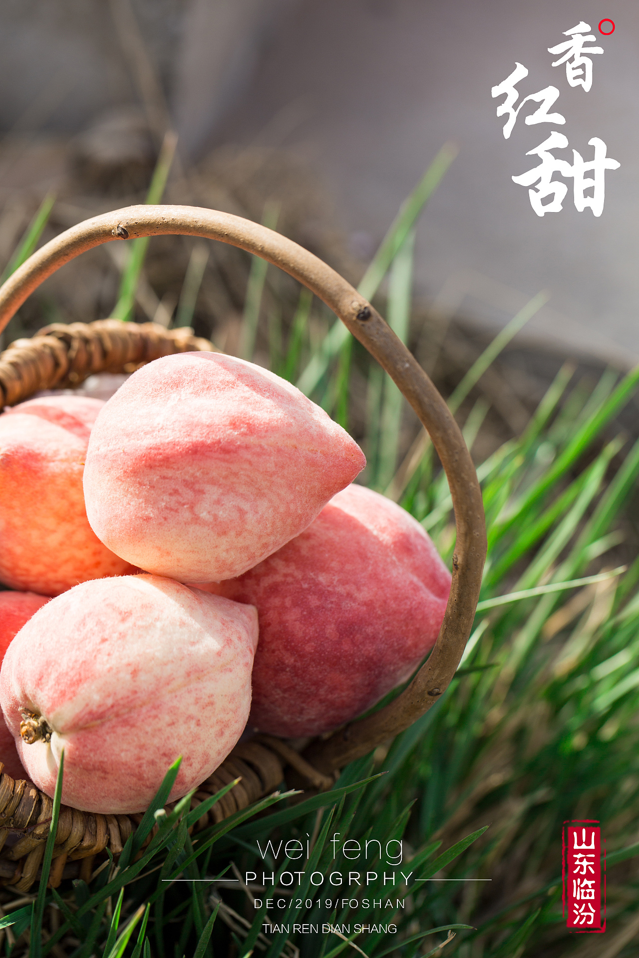 山东水蜜桃来一小组|摄影|产品摄影|河南峰哥 - 原创作品 - 站酷