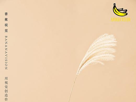 电商场景创意拍摄