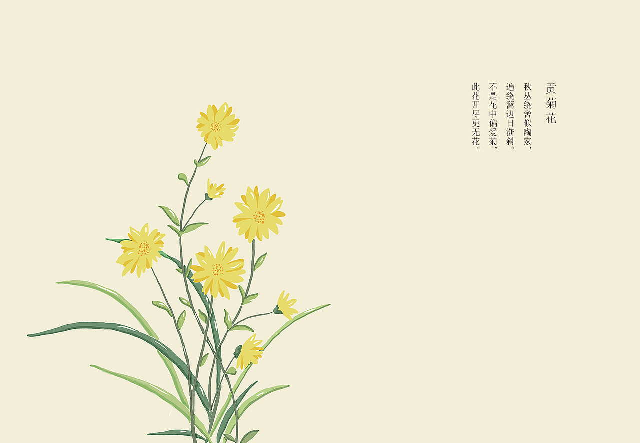 同仁堂花茶包装设计