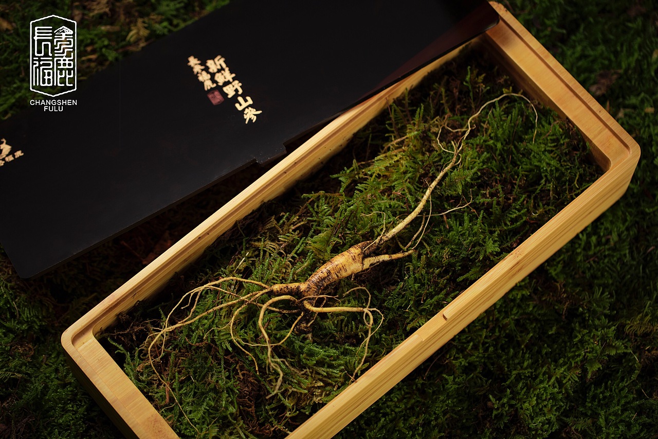 长参福鹿人参拍摄