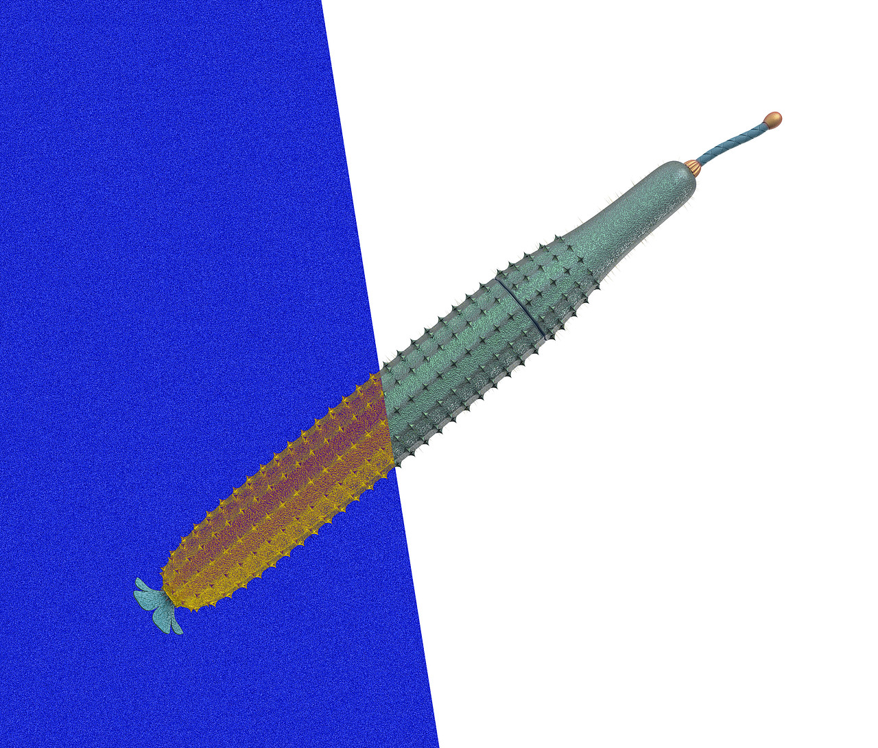 【果蔬系列】（图ZMTYwODMyMTU2） - 生活用品 - 站酷设计师凉茶菌原创素材 - 站酷ZCOOL