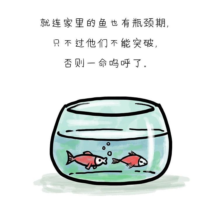 大家都知道瓶颈期但是颈瓶期是个什么毛线