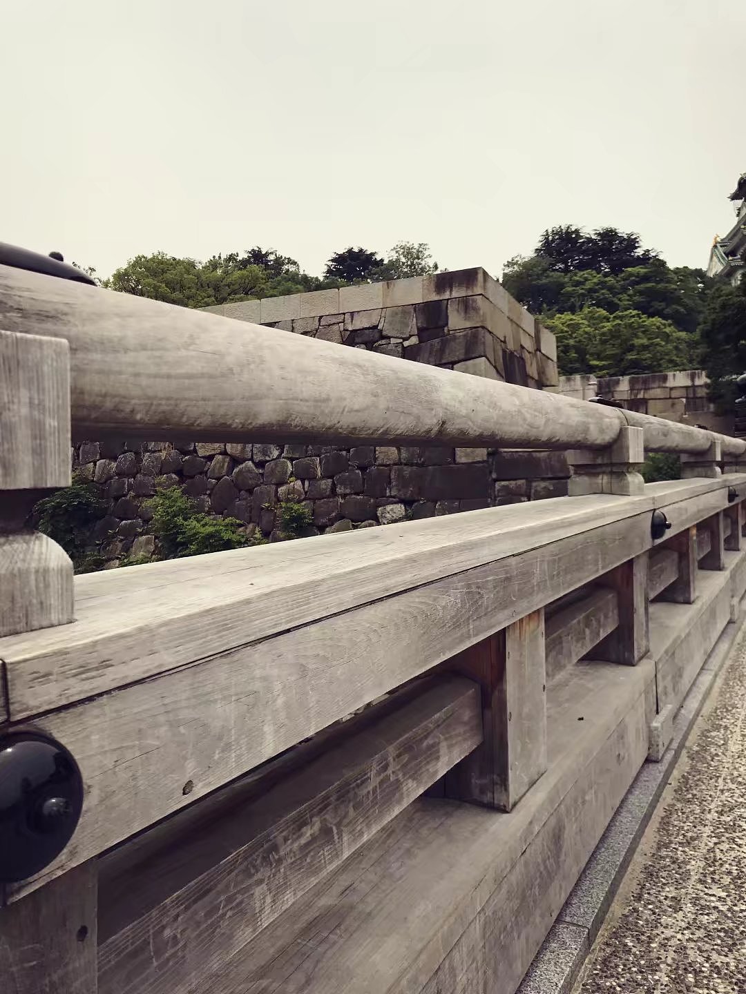 日本京都一周游