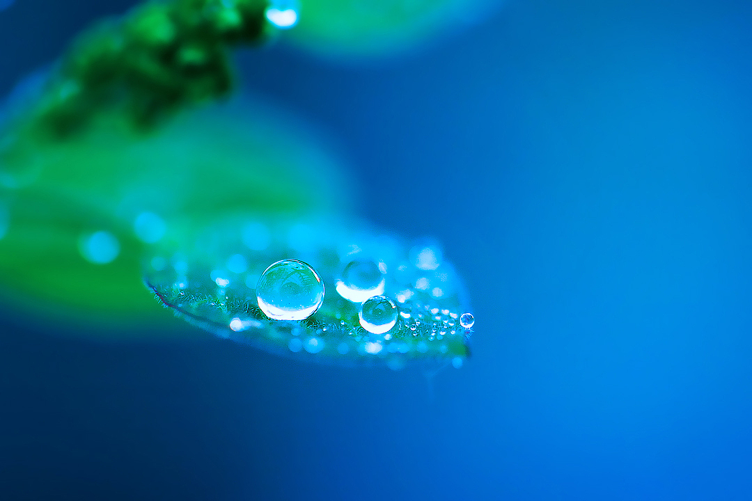 水珠儿（图ZMjkxNjk1NTY=） - 其他摄影 - 站酷设计师amhx原创素材 - 站酷ZCOOL