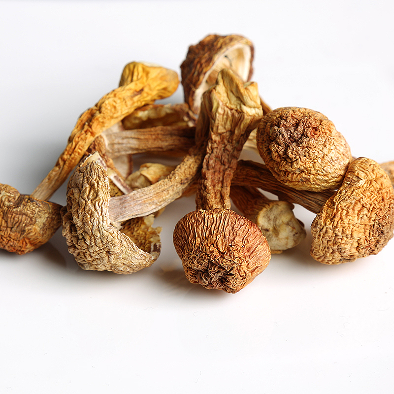 产品拍摄食品拍摄案例