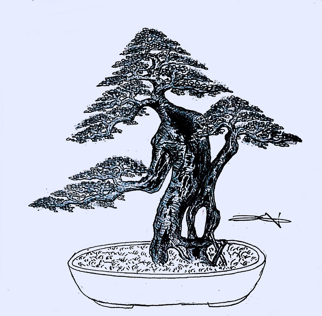 金弹子盆景设计效果图（图ZMTY2OTE4NTAw） - 绘画 - 站酷设计师慧武原创素材 - 站酷ZCOOL