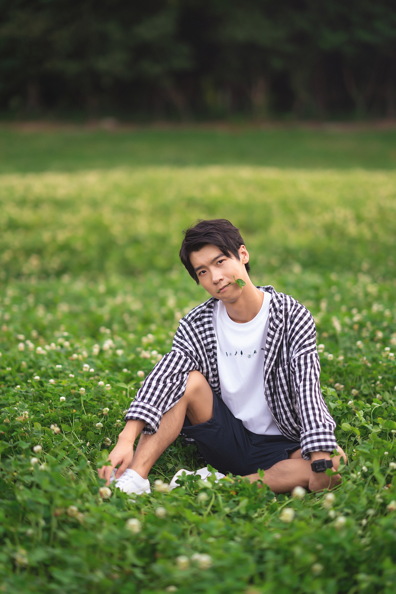 夏日三叶草的味道