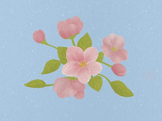又是花花~~