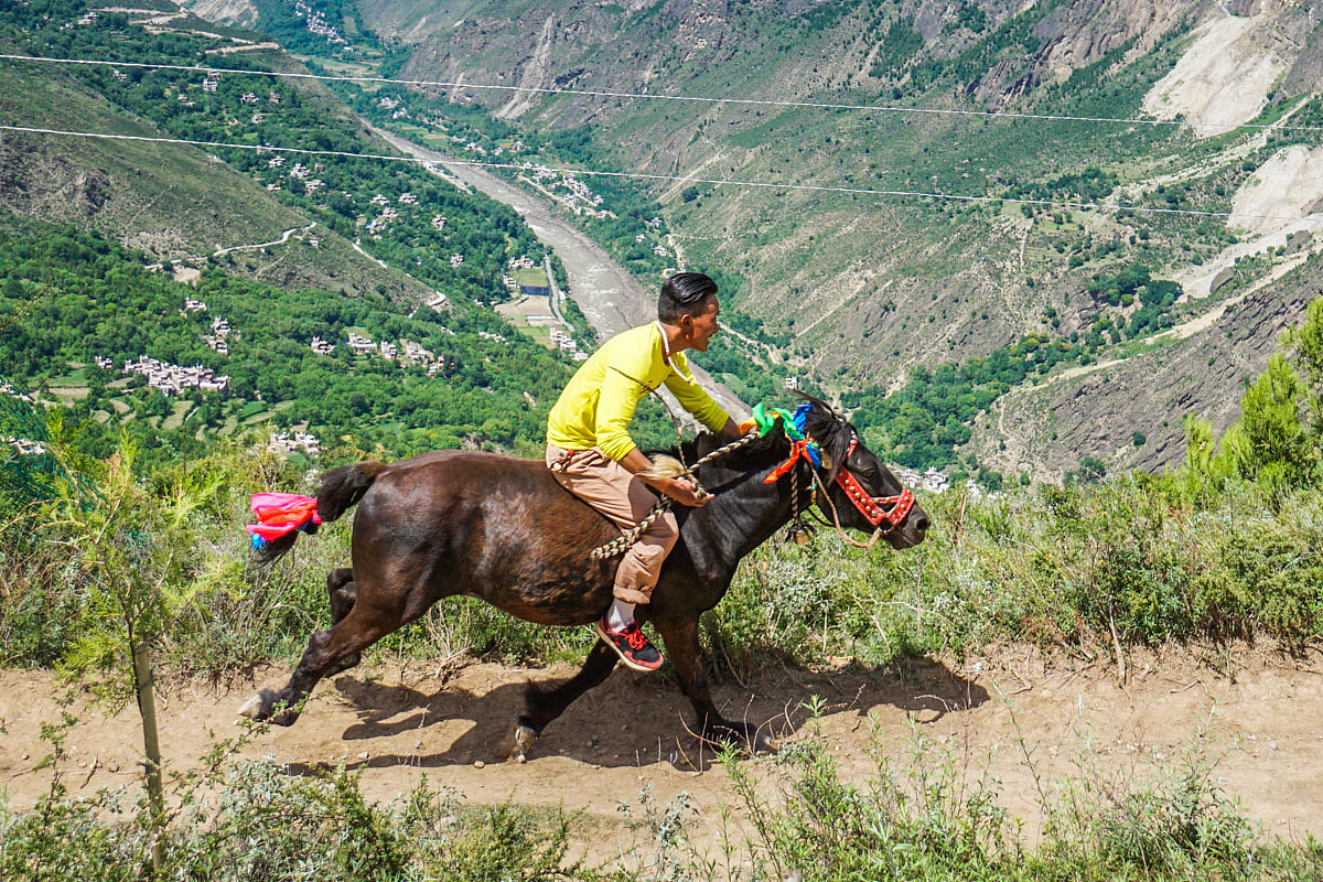 #神仙居所甲居藏寨#【转山会、跑马节】8