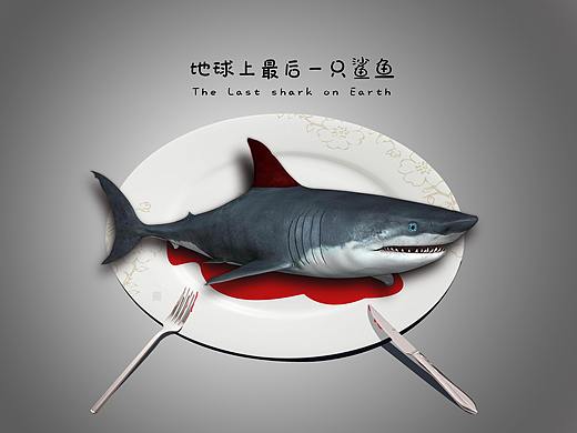 保護(hù)動(dòng)物（1）鯊魚(yú) 2018-2019 下（個(gè)人主頁(yè)-ZNDYxOTIxMjg=） - 海報(bào) - 站酷設(shè)計(jì)師壓制好龍?jiān)瓌?chuàng)素材 - 站酷ZCOOL