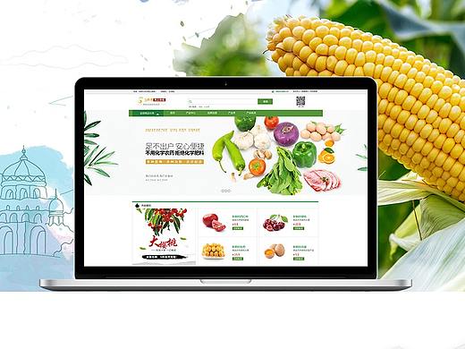 乐农电商（个人主页-ZMjQ2NTM0MzI=） - 电商 - 站酷设计师江南小镇的飞鱼原创素材 - 站酷ZCOOL