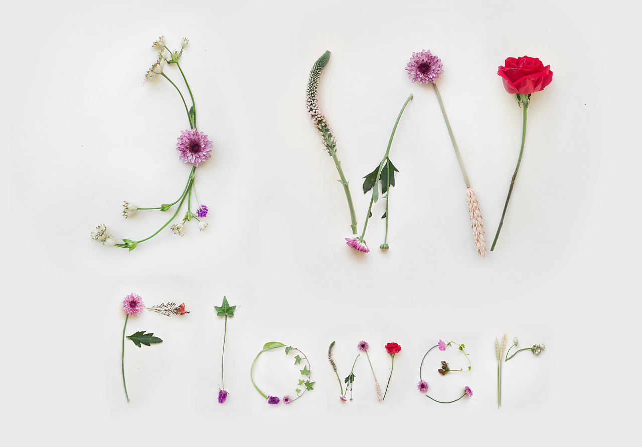 植物花卉文字设计-七月|平面|字体/字形|Tian刘天 - 原创作品 - 站酷 (ZCOOL)