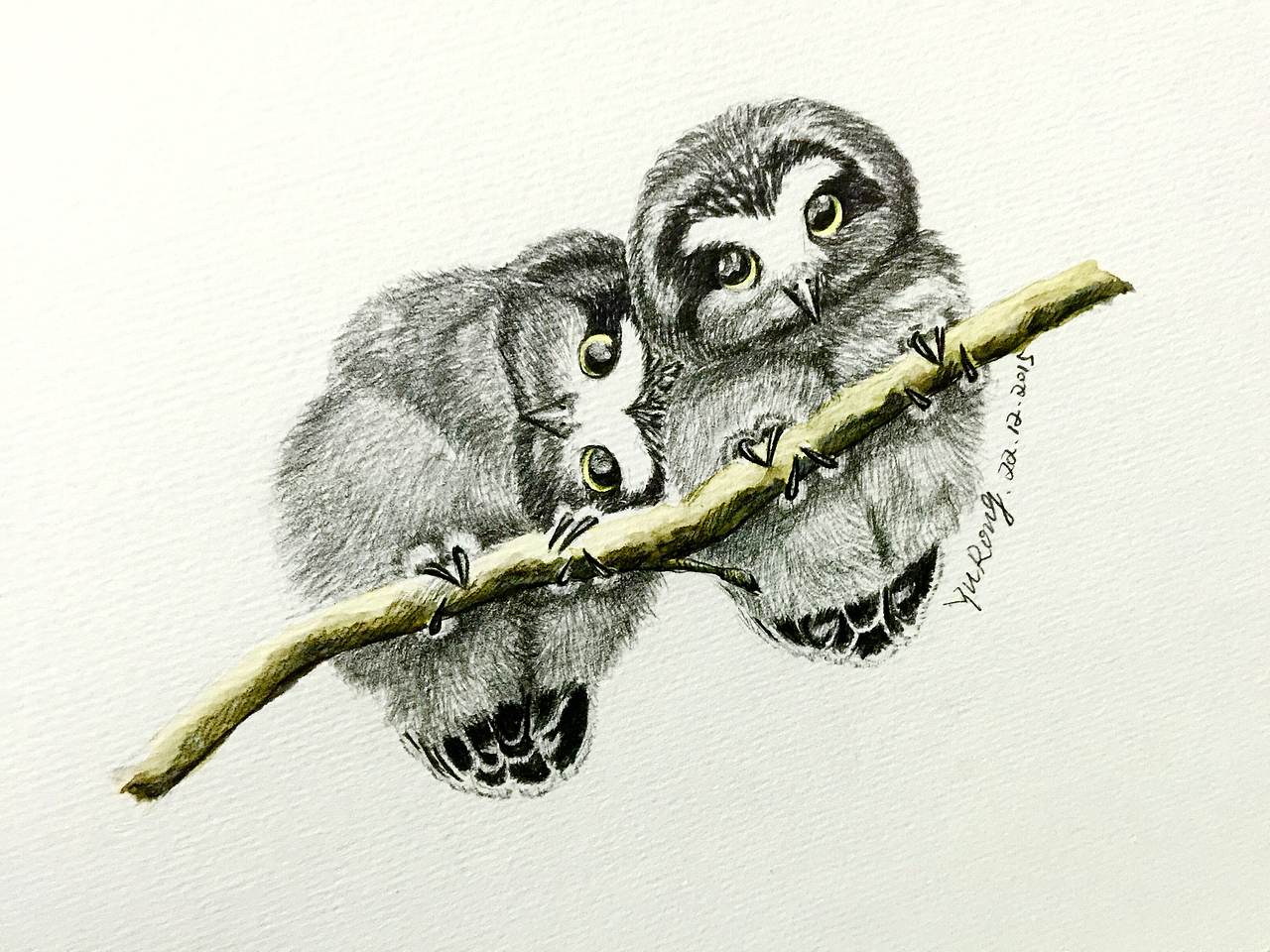 铅笔画（图ZMzkxMTQzMzY=） - 创作习作 - 站酷设计师YURONG97原创素材 - 站酷ZCOOL