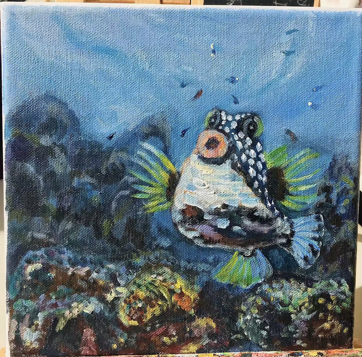 海底兴奋的小丑鱼