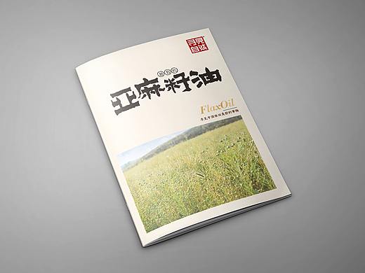 画册