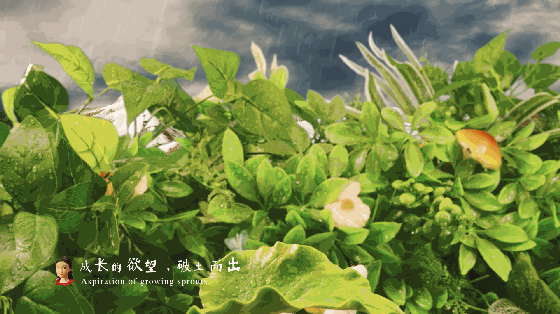 统一诚实豆定格动画《源梦记》,一场逃离996的冒险!(图ZMTY0NDU2NTU2) - 动画片 - 站酷设计师蒸汽工场原创素材 - 站酷ZCOOL
