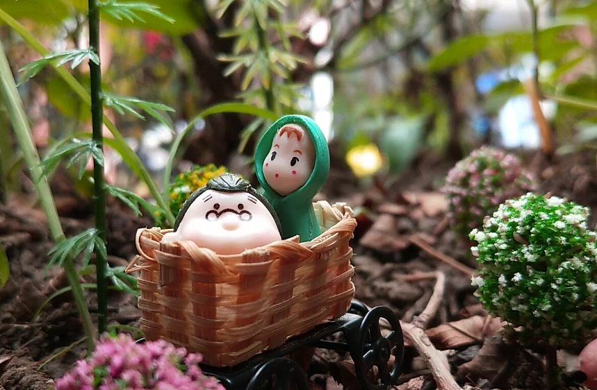 世界那么大,看看就看看