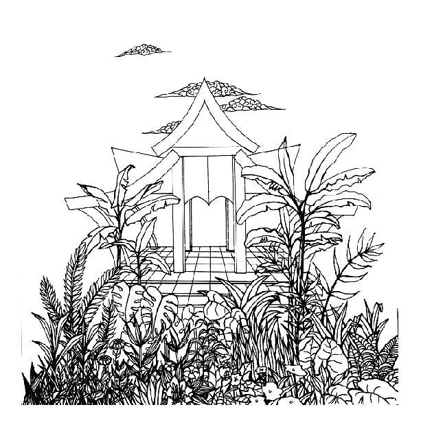 植物线绘插画