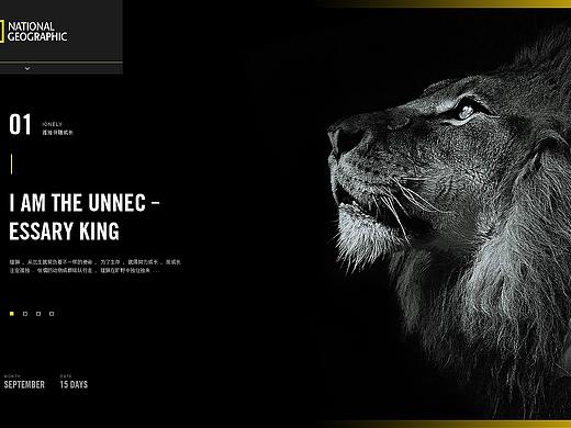 動物網(wǎng)頁（練習稿）（個人主頁-ZMzQzNDcwNjg=） - 運營設計 - 站酷設計師該你吃原創(chuàng)素材 - 站酷ZCOOL