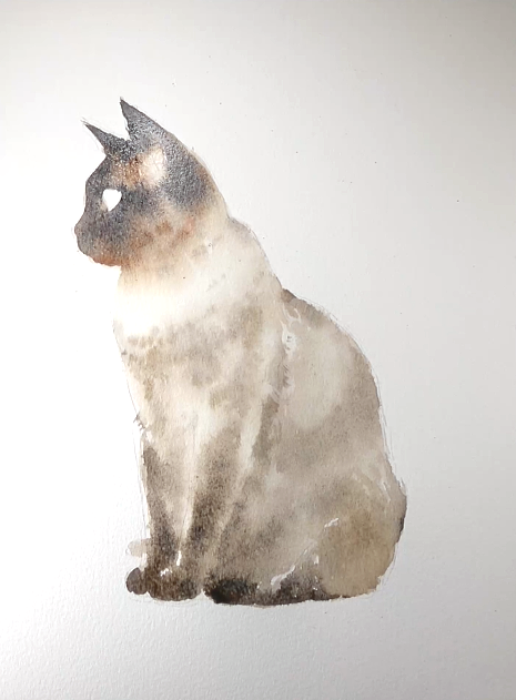 水彩绘画(黑脸的小猫)