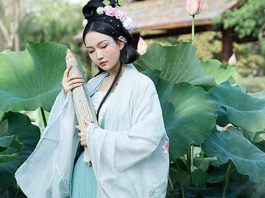 荷花繁茂，盛夏时光