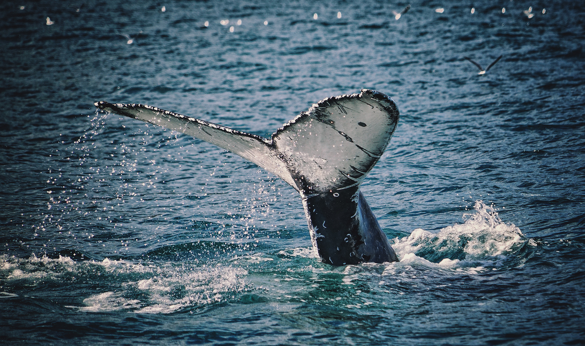天行健G的個人主頁（封面預覽） - 主頁封面設置 - 站酷設計師天行健G原創(chuàng)素材 - 站酷ZCOOL