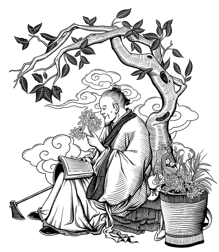 李时珍 闻茱萸 版画插画手绘