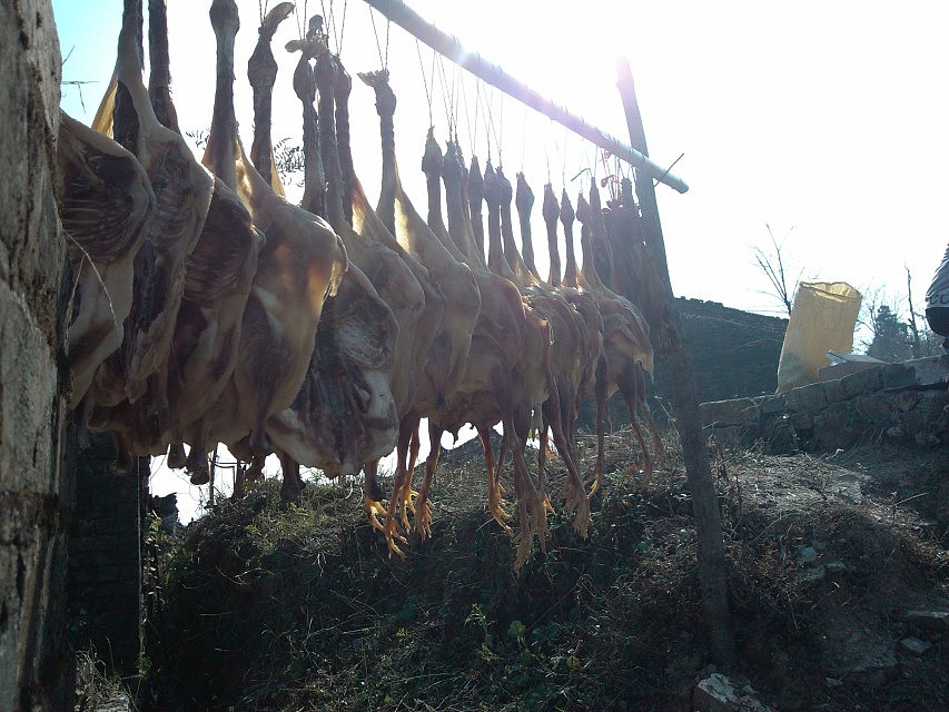 旅行（图ZMzA1OTA5MjA=） - 环境/建筑摄影 - 站酷设计师海洋女神原创素材 - 站酷ZCOOL