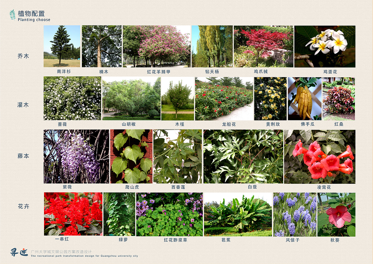 文娱公园【作业】（图ZNTQ2NzczMTY=） - 景观设计 - 站酷设计师绒化的冰淇淋原创素材 - 站酷ZCOOL