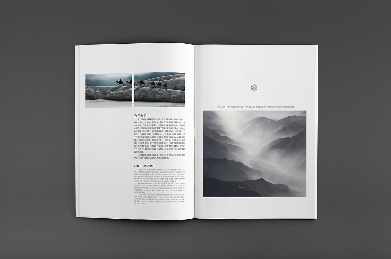 公司画册 地毯设计画册