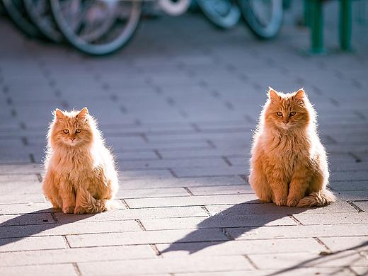 window10风格-自助机首页（个人主页-ZMzI4OTM3NDg=） - 软件界面 - 站酷设计师随和的皮大爷原创素材 - 站酷ZCOOL