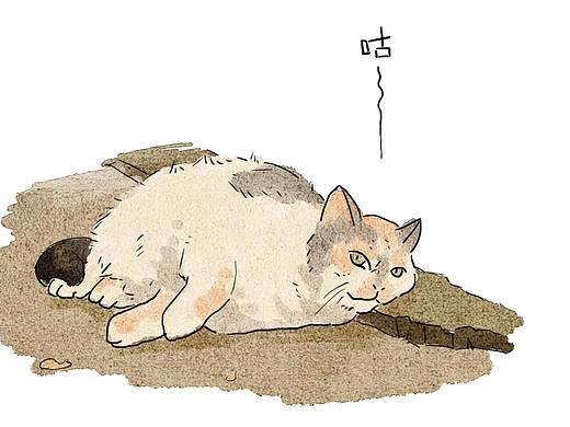 猫咪插画练习