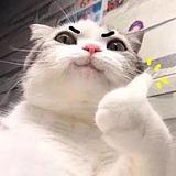 少女怪物的头像