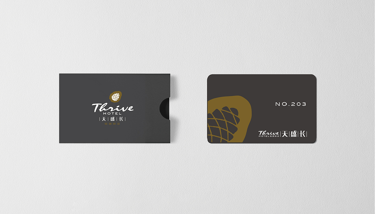 天盛长|轻居旅店|酒店|