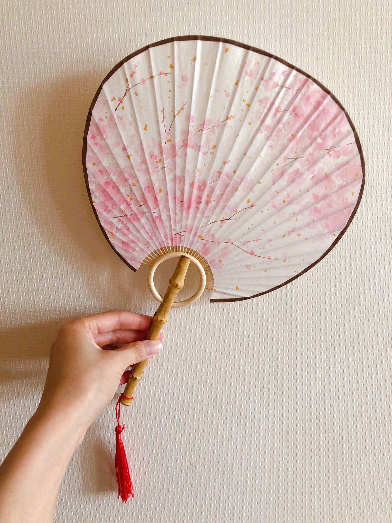 水彩 | 夏日绘扇 手绘宣纸扇