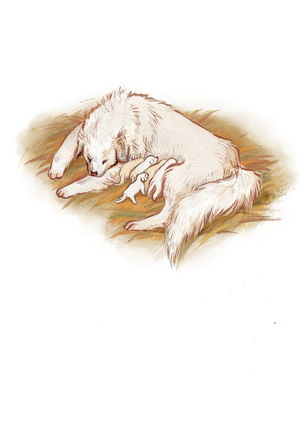 儿童文学插图《我童年的牧羊犬》（图ZMjczODAwMzIw） - 商业插画 - 站酷设计师日一尧原创素材 - 站酷ZCOOL