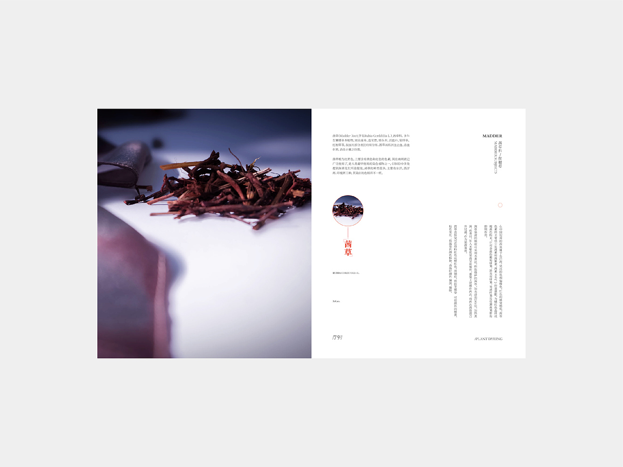 草木染-书籍装帧设计（图ZMTgzMjUxNjk2） - 书籍/画册 - 站酷设计师Hasdisappeared原创素材 - 站酷ZCOOL