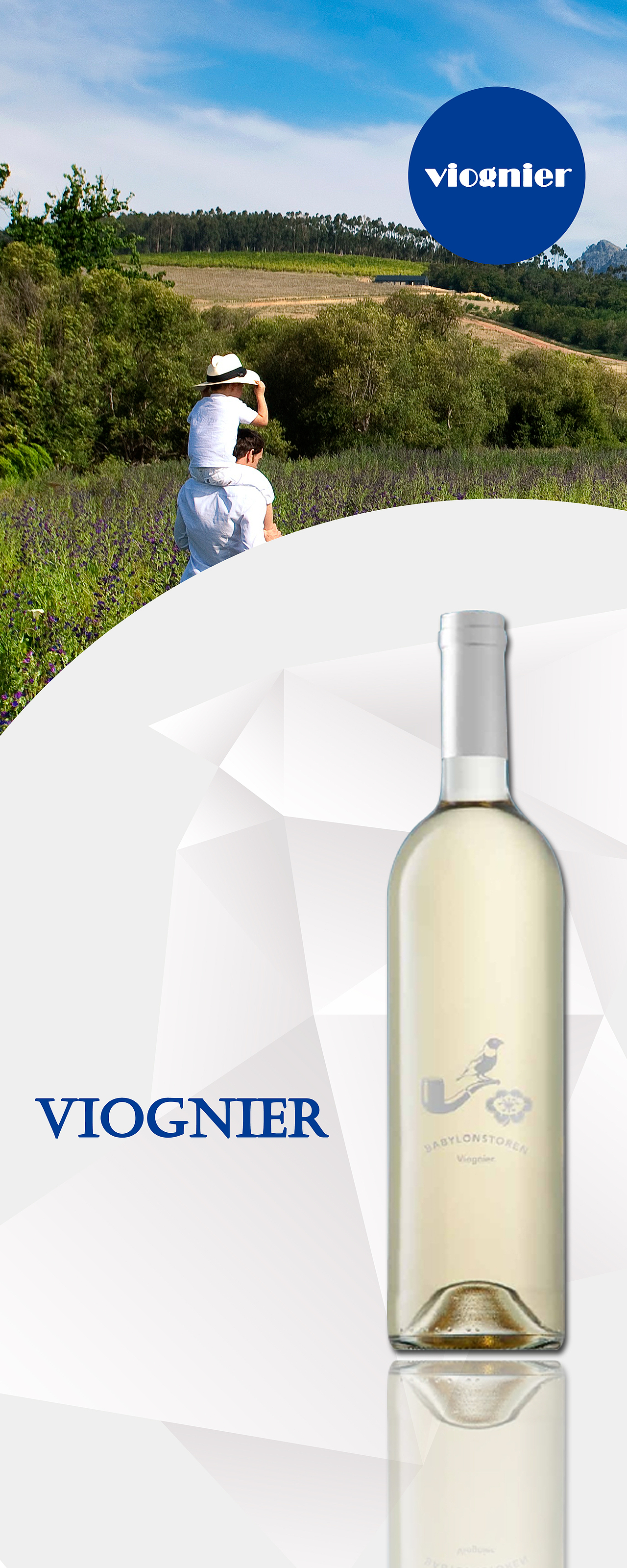 红酒易拉宝设计（图ZMTc3MzMwMjQ=） - 宣传物料 - 站酷设计师Top思南原创素材 - 站酷ZCOOL