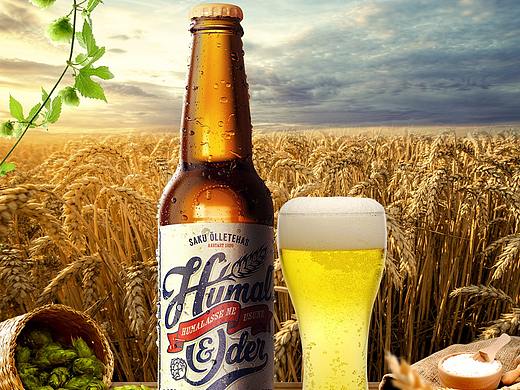 啤酒海報(bào)（個(gè)人主頁(yè)-ZMzQ1OTYwNTI=） - 海報(bào) - 站酷設(shè)計(jì)師李淑蓮原創(chuàng)素材 - 站酷ZCOOL