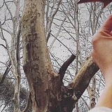 563不便的头像