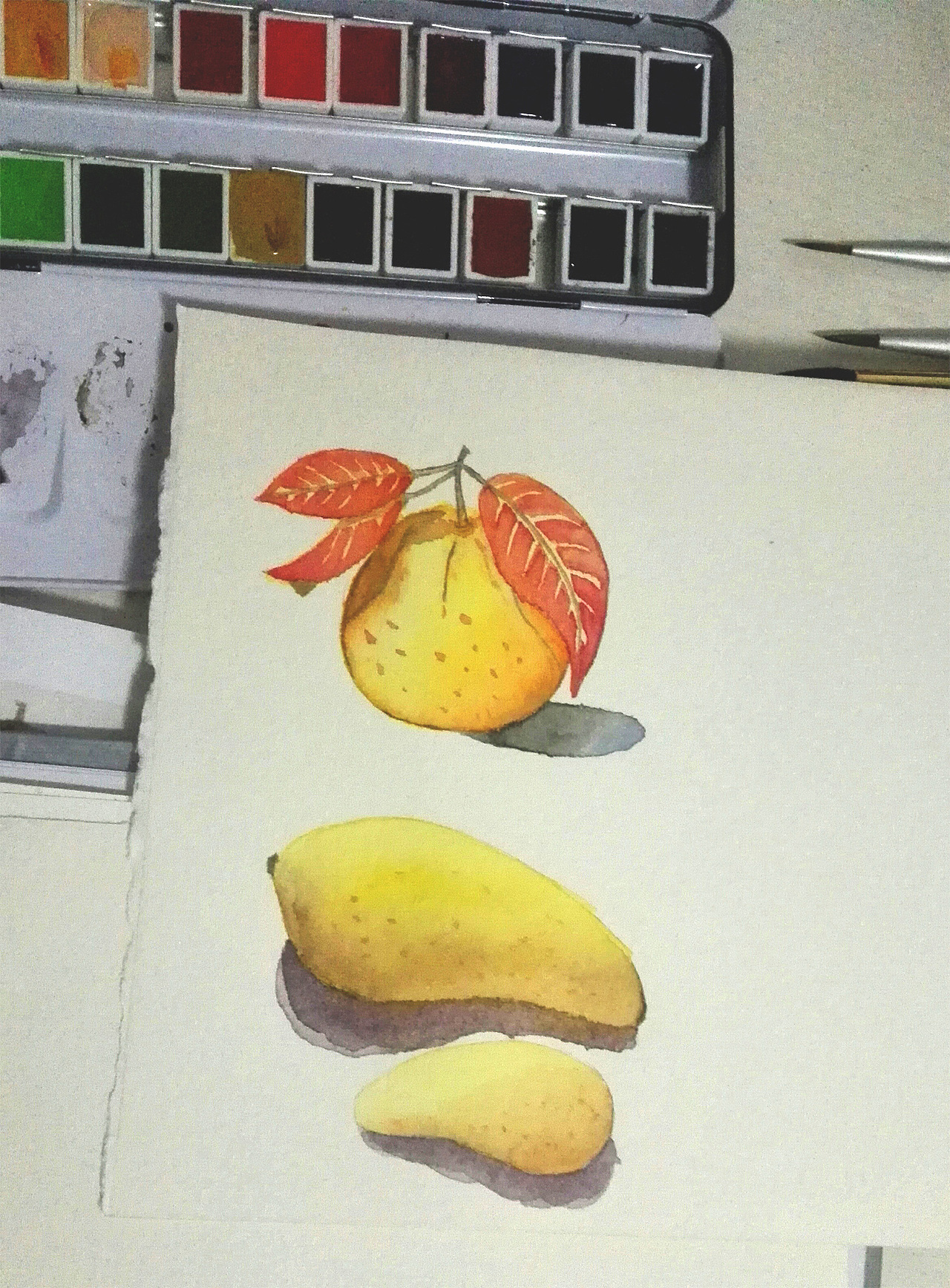 清透水彩 逼真芒果