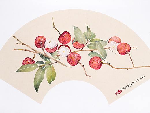 国画——荔枝扇面绘画步骤