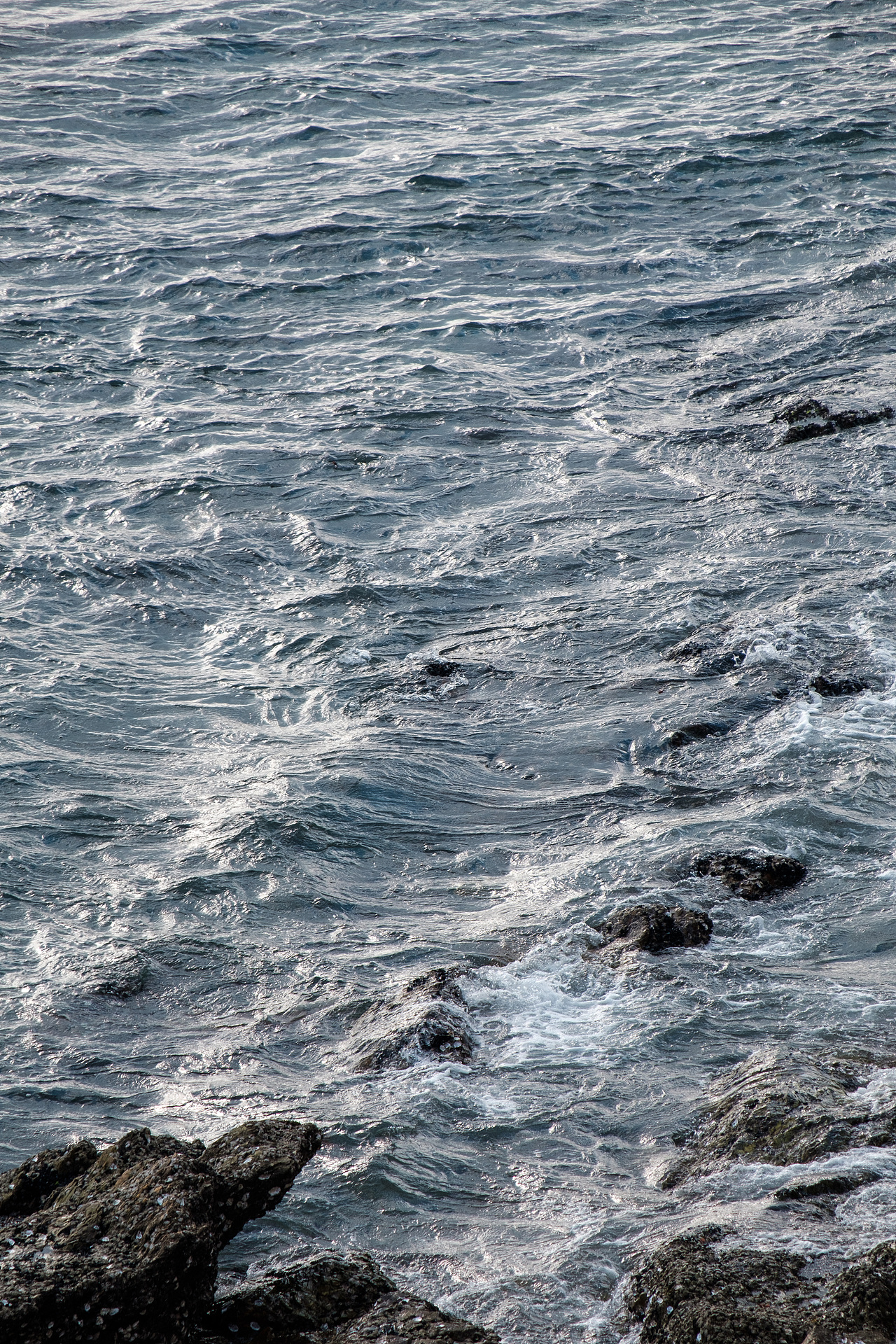 大连 七贤岭公园