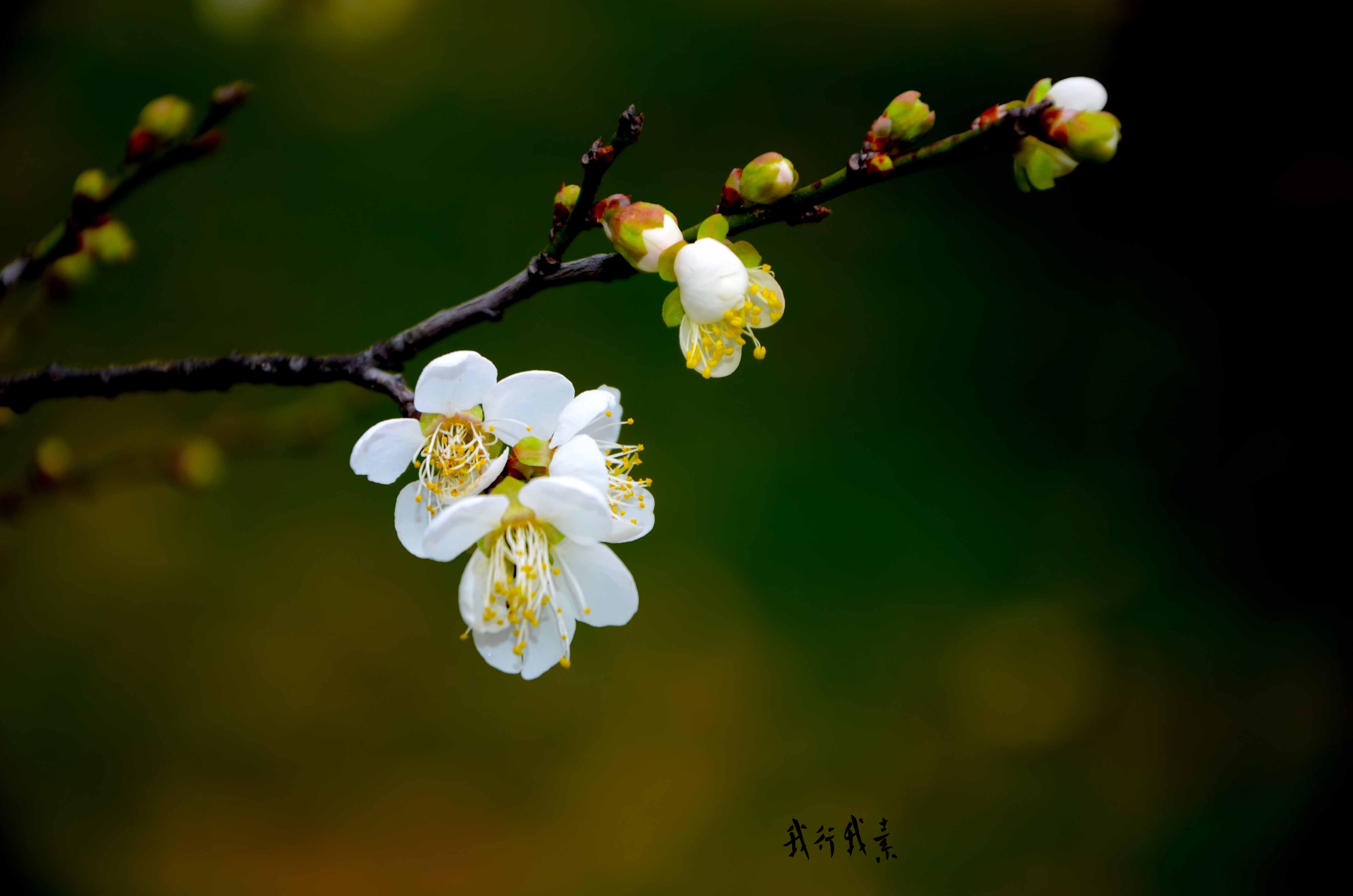 summit820119的個(gè)人主頁(yè)（封面預(yù)覽） - 主頁(yè)封面設(shè)置 - 站酷設(shè)計(jì)師summit820119原創(chuàng)素材 - 站酷ZCOOL