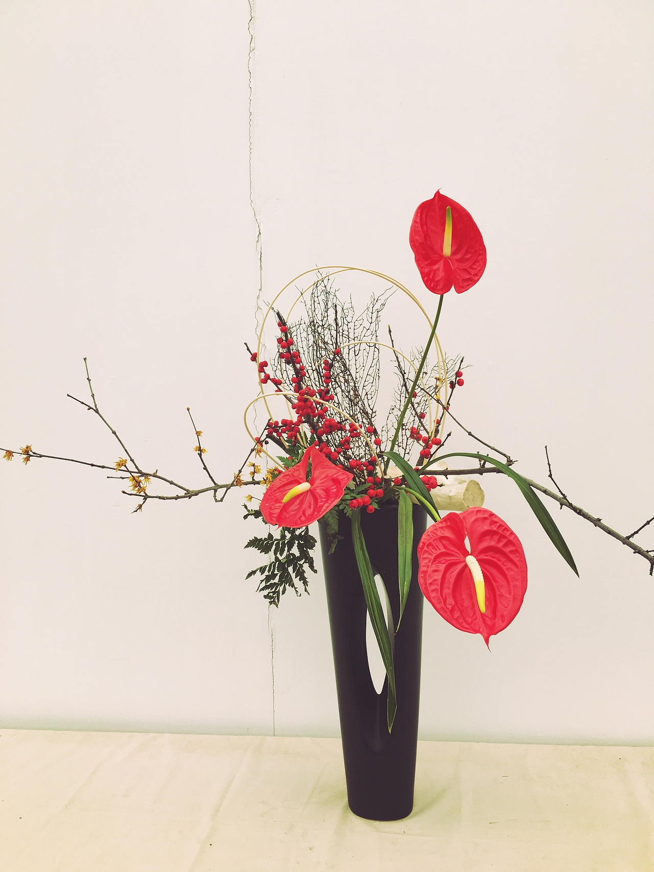 365摄影计划（2）（图ZNDM4MjU3NjQ=） - 产品摄影 - 站酷设计师Pexels原创素材 - 站酷ZCOOL