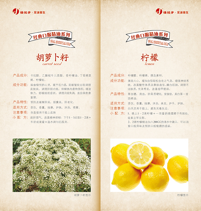 养生小册子 画册 中国风 产品说明 产品手册 古典画册