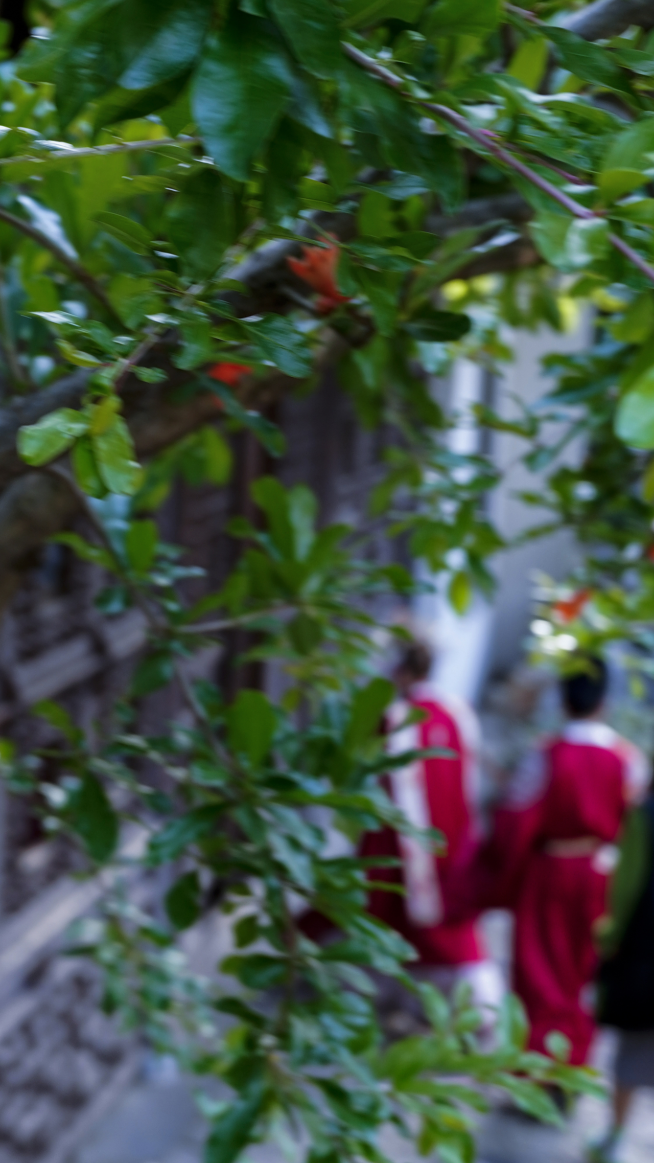 南京金陵愚园风景随拍（图ZMzY4NjIyNzky） - 风光摄影 - 站酷设计师Danhongz原创素材 - 站酷ZCOOL