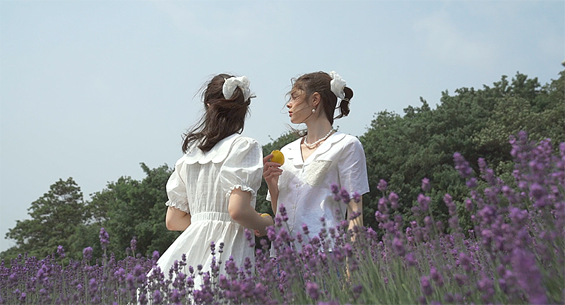 南法下的薰衣草