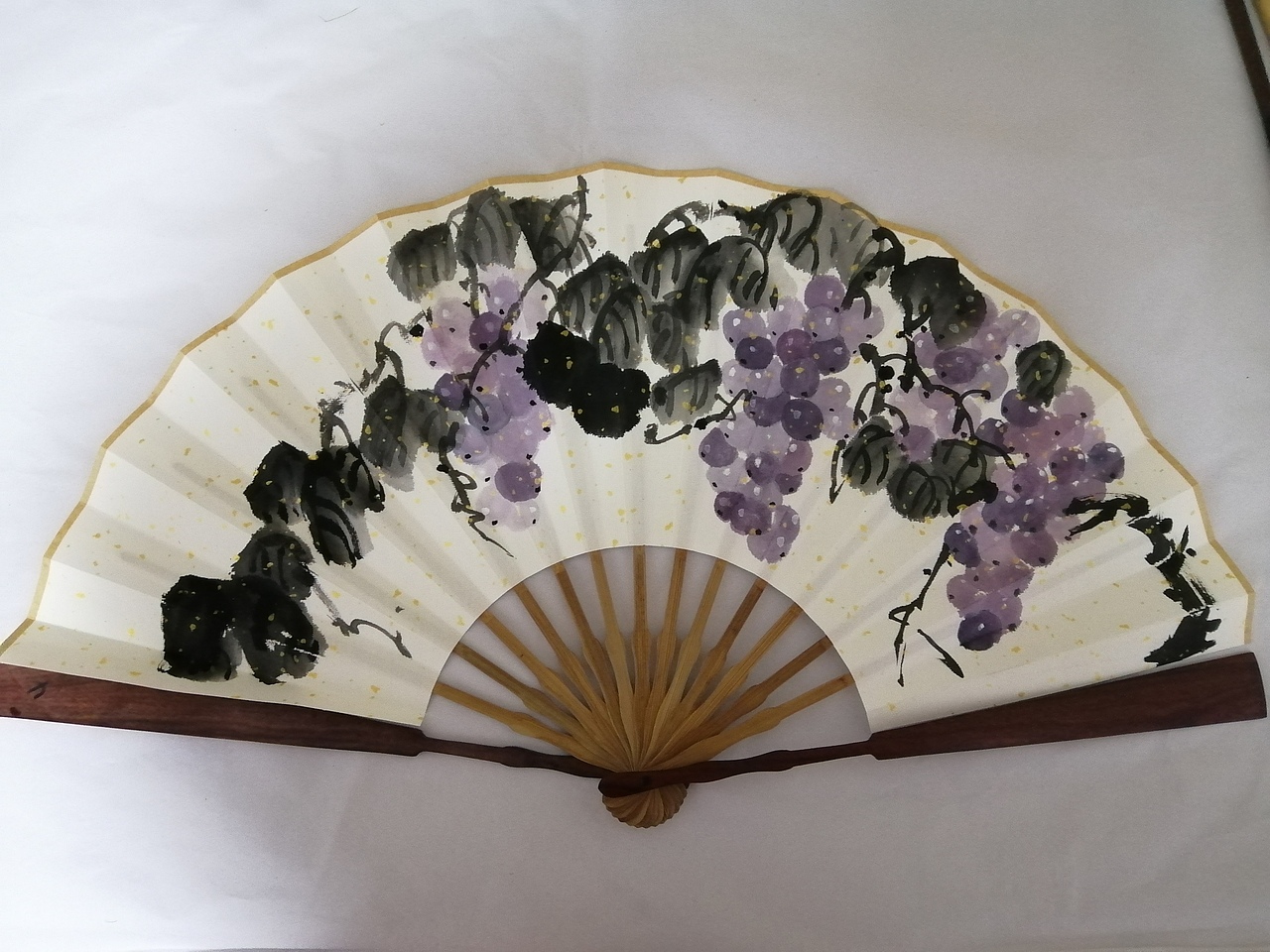 扇面花束插画儿插风格蜡笔画头像儿插风格人物头像国画花鸟之紫藤花