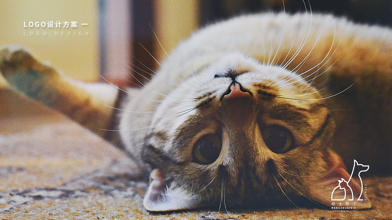 logo——宠物行业